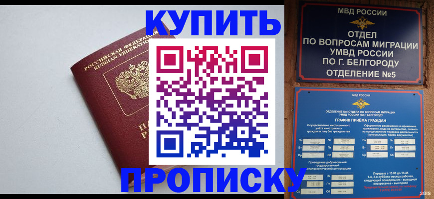 прописка регистрация в Майкопе